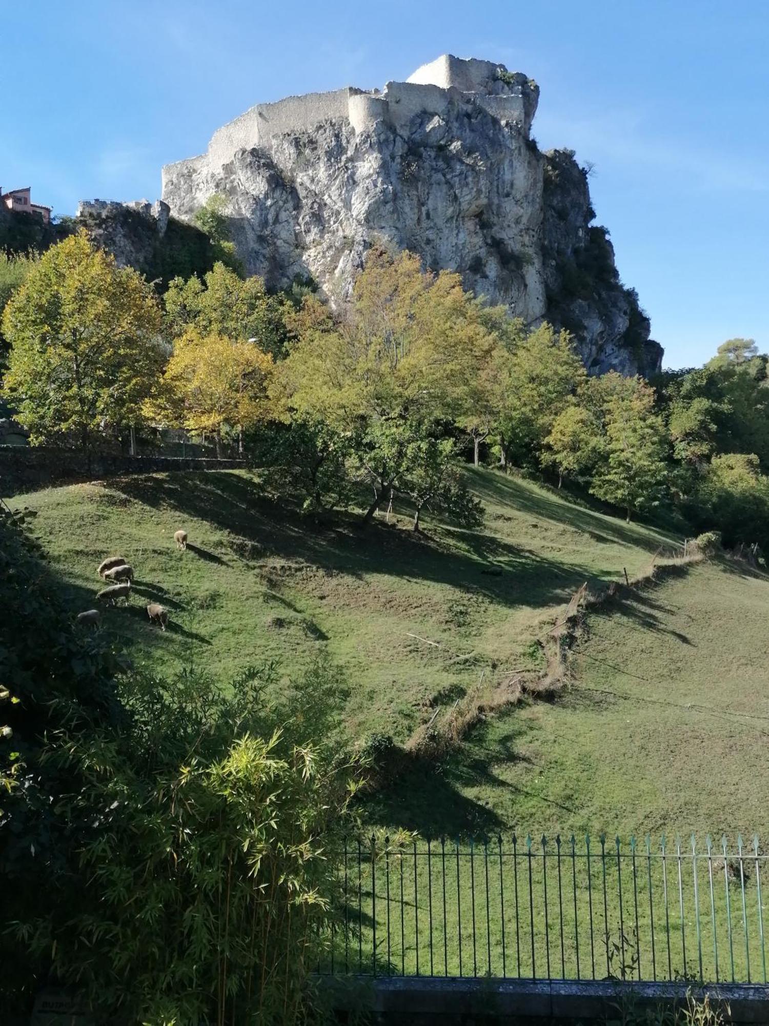 Au Relais Fleuri Panzió Gilette Kültér fotó